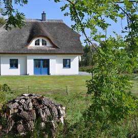 Holiday home in Poseritz - Insel Rügen 41511