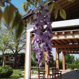 Maranghetto appartamenti, hotel din Caorle