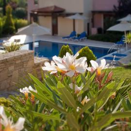 Eligia Villas