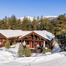 100m lift, 2 min swim - Large family cabin, hotel in Vradal