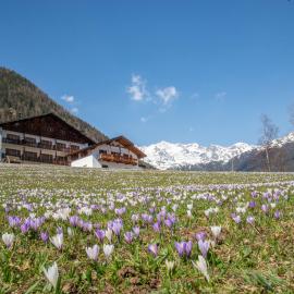 Santa Gertrude nella Val d'Ultimo में, होटल Hotel Ultnerhof
