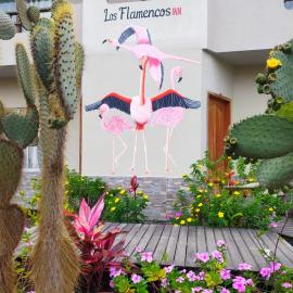 Hostal Los Flamencos, Hotel in Puerto Villamil