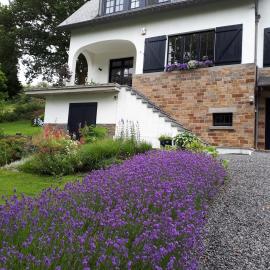 L'Aubergine, hotel in Sprimont