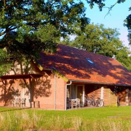 Holiday Home in Geesteren with Terrace