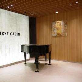 First Cabin Kansai Airport, hotel i Izumisano