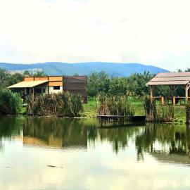 Honey Tiny Home, hotel in Vadu Crişului