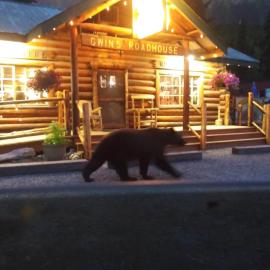 Gwin's Lodge & Roadhouse, hotel u gradu Cooper Landing