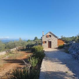 Vacation Home Friday