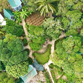 Homestay De la Rosa - Côn Đảo, hotel en Con Dao