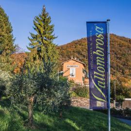 Wine & Art Relais Vallombrosa – hotel w mieście Castelrotto