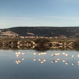 FLAMANTS ROSES 1 pers 6, hotel u gradu Frontinjan