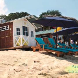 Pura Vida Baru - La Casa del Cholo, hotel in Barú