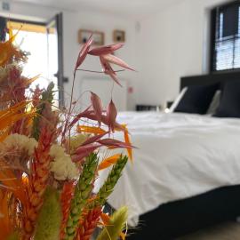 Damse Paveljoentje comfort en uitzicht in Damme, hotel a Damme