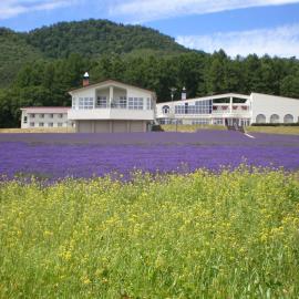 Highland Furano, hotel v destinaci Furano