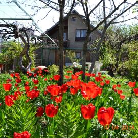 Milorava's Guest House & Wine Cellar