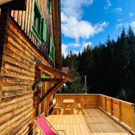 Zirbitz Hütte am Waldrand - Sauna, Kamin, Feuerstelle, Ausblick, viešbutis mieste Sankt Lambrechtas