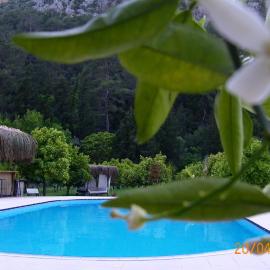 Portalimo Lodge Hotel - Adult Only +12، فندق في جيرالي