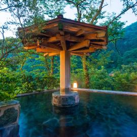 Kurobe में, होटल Hotel Kurobe
