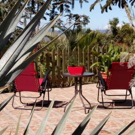 Charming Apartment Rental in San Isidro de Grecia, Costa Rica