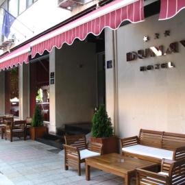 비딘에 위치한 호텔 Hotel Dunav