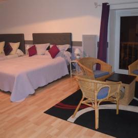 Logis de Chezelles, hotel u gradu Sidiailles