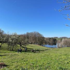 Gîte du Mont Gérard、La Lanterne-et-les-Armontsのホテル