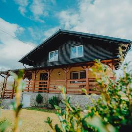 Casa Andreea și Grigore Ursu, hótel í Borşa