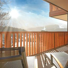Adler Lodge D1 by AA Holiday Homes、タウプリッツのホテル