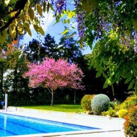 Stil Mar Anna Sol - by Apartamentos Stil Mar Anna
