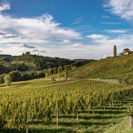 Ferienwohnungen Weingut Familie Danko