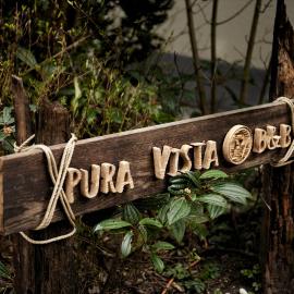 B&B Pura Vista, מלון בZandhoven