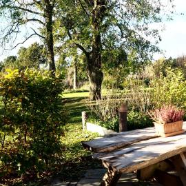 LatterLy Rooms, hotell i Silkeborg
