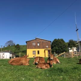 El Refugio de Isol La Fontarica & Fuente，Trevías的飯店