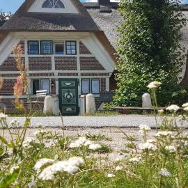 Haus Anna Elbe, Bauernhaus-Ferienwohnungen an der Elbe, hótel í Hamborg