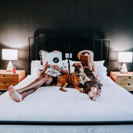 Wimberley Inn & bar、ウィンバリーのホテル