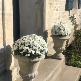 La Belle Epoque - Chambres d'hôtes & SPA, hotel i Damvix