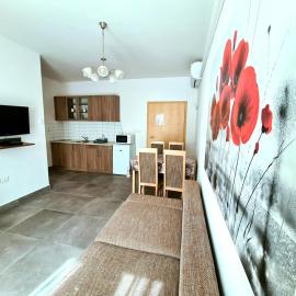 Regina Apartman Hegykő、ヘジクーのホテル