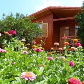 Ugur Pansiyon Bungalows