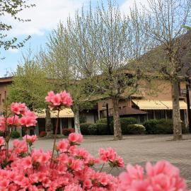 카살레 코르테 세로에 위치한 호텔 Albergo Ristorante Cicin