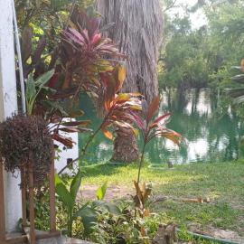 tamasopo y sus rios, hotel a Tambaca