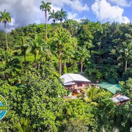 Cocoa Cottage, hotel i Roseau