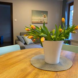 Apartament Baltic Park Stegna, hotel in Stegna
