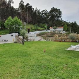 Quinta da Tormenta -14 pessoas- Cabeceiras de Basto 2 casas e piscina privada