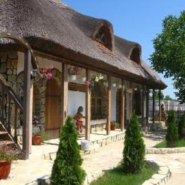 Casa cu flori Murighiol, khách sạn ở Murighiol