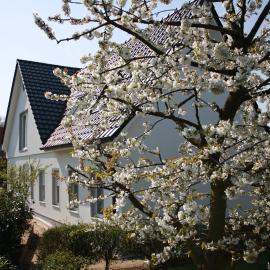 Fewo Lüheblick im Haus Lühegarten