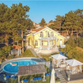 Luxury Riverside Villa with Private Pool, Sauna and BBQ, 12 Guests, hotel in Novi Banovci