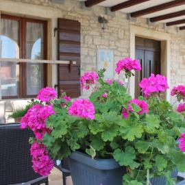 House Braida, hotel in Bale