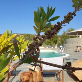 Anassa Cycladic Village, hotel v mestu Galissas