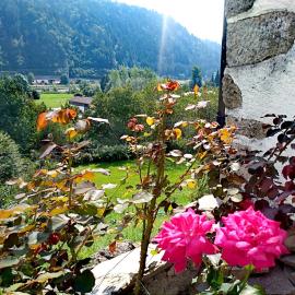 Cjasa da Puci, hotel u gradu Ovaro