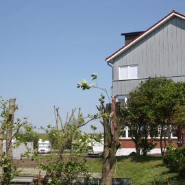 Gasthof Großer Krug, hotell i Norddeich